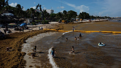 Recale excesivo de sargazo no cede; aumenta de 19 a 33 destinos de Quintana Roo