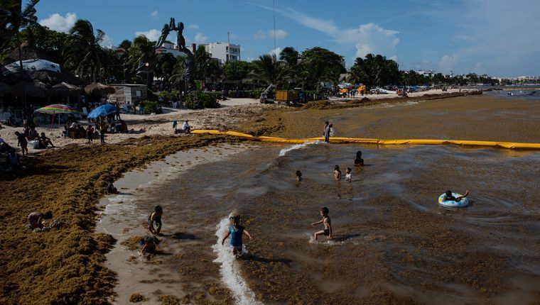 Recale excesivo de sargazo no cede; aumenta de 19 a 33 destinos de Quintana Roo