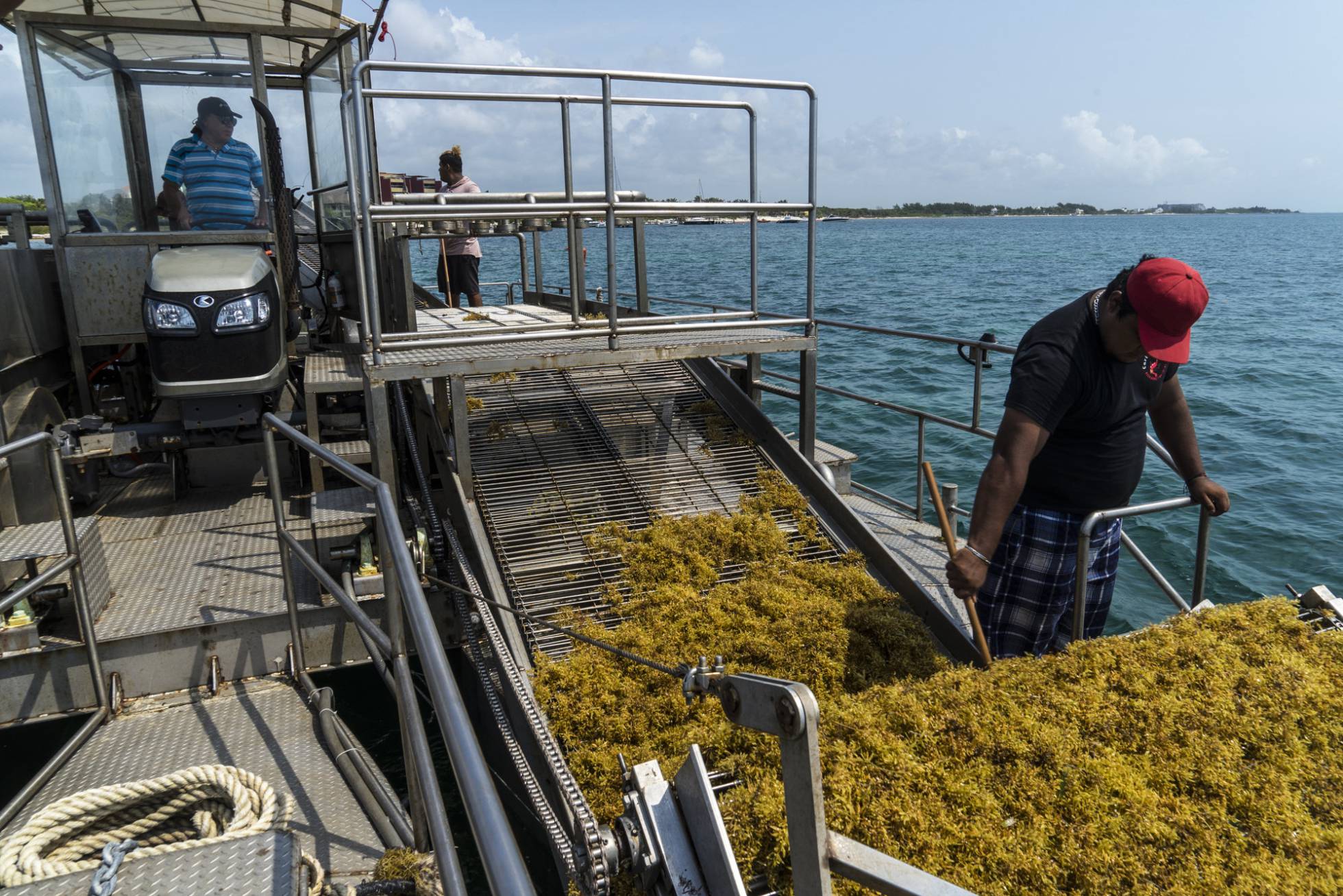 Ruffo recoge sargazo en las aguas de Puerto Morelos